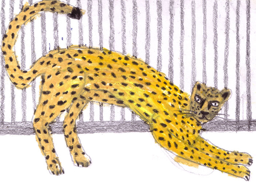tanti animali