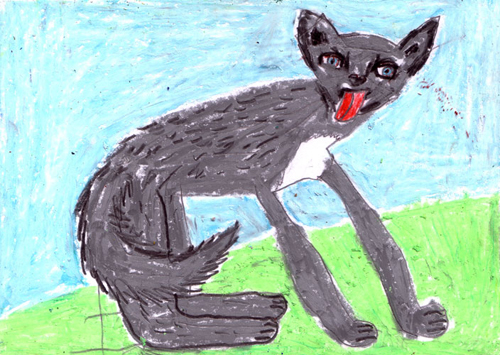 tanti animali