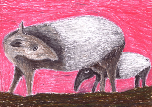 tanti animali