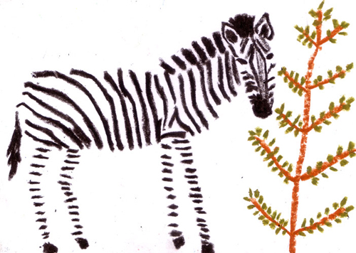 tanti animali