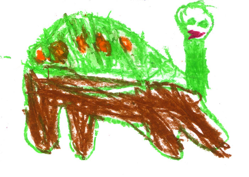 tanti animali