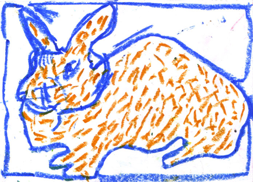 tanti animali