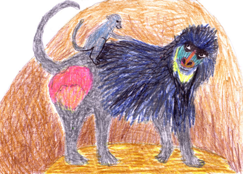 tanti animali