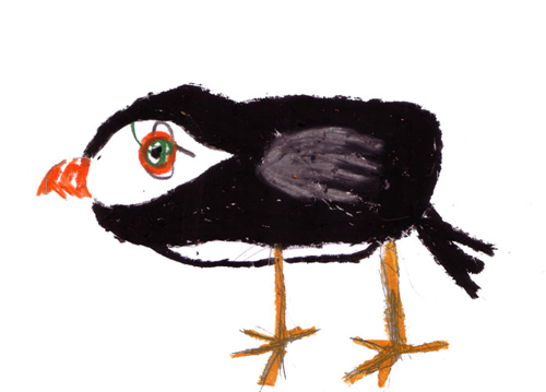tanti animali